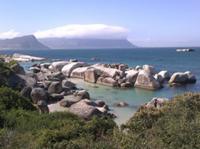 Boulders Beach Simons Town